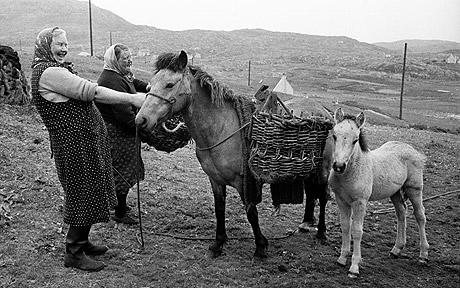 This image has an empty alt attribute; its file name is d53f94dadc7013110a05a47db51e1b0b1.jpg