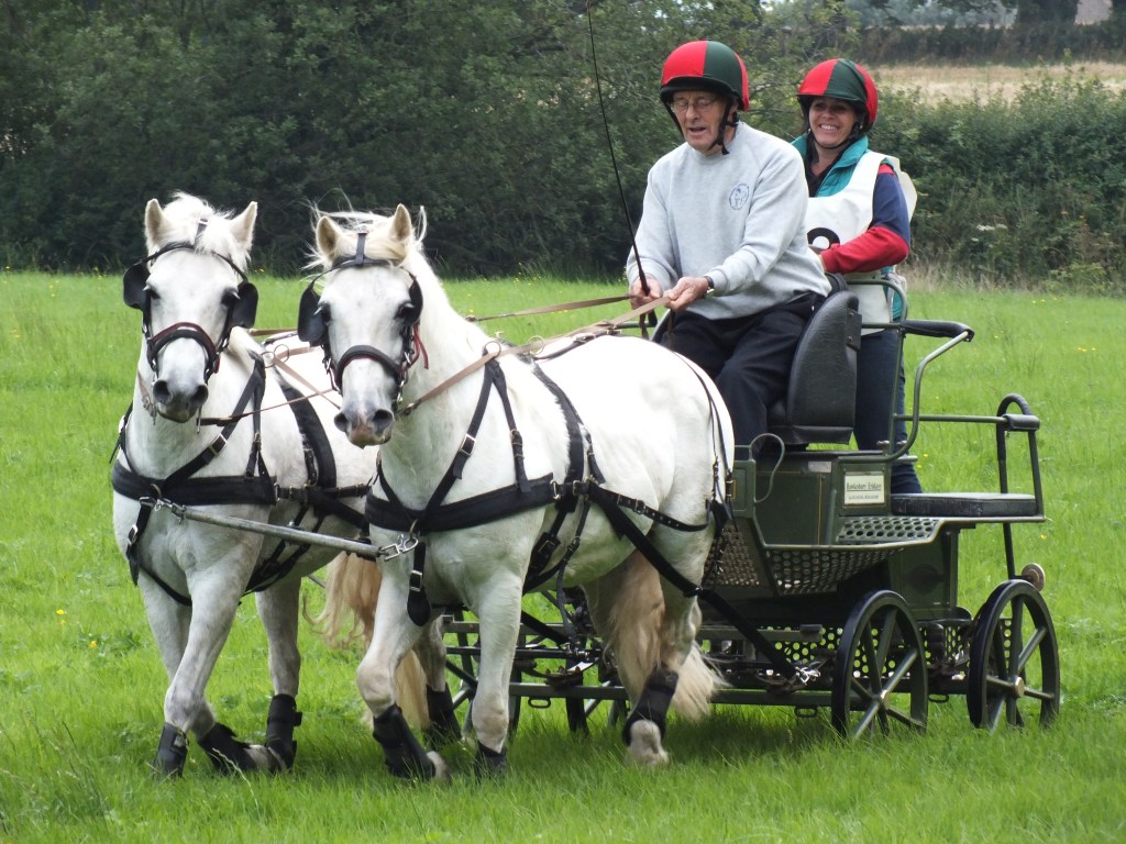 This image has an empty alt attribute; its file name is dscf8186-1.jpg