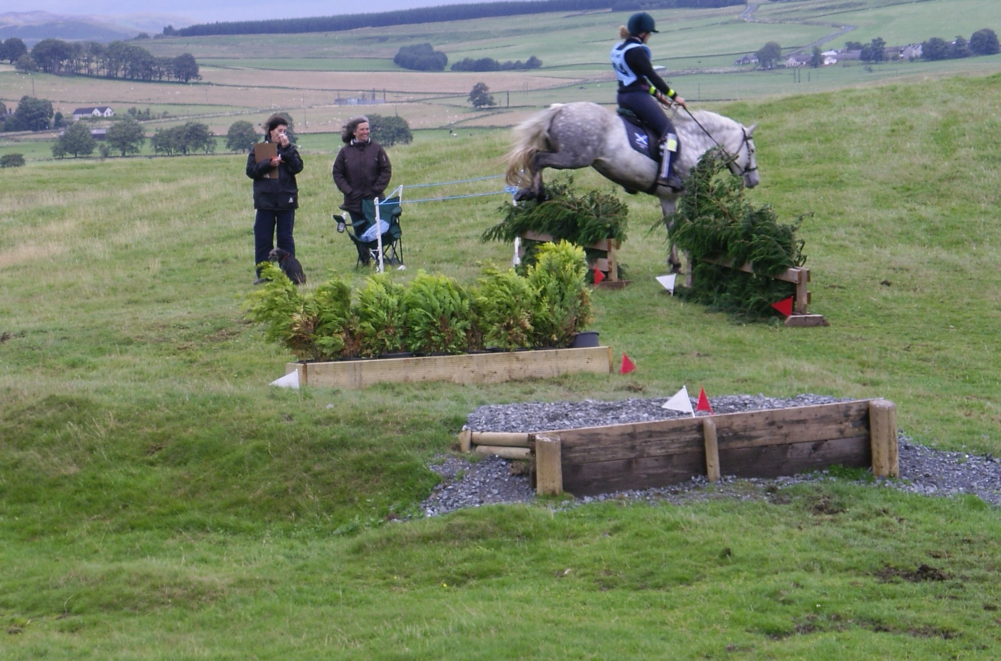 The Eriskay Pony Society Limited logo